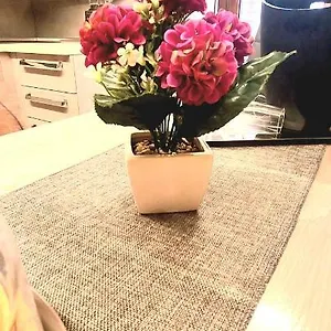 https://maison-gioberti.hotelsalgherosardinia.com